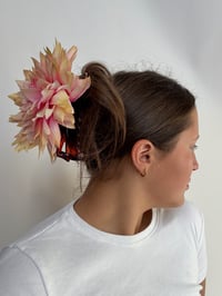 Image 2 of nectarine dahlia claw