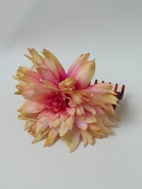 Image 1 of nectarine dahlia claw