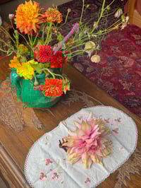 Image 3 of nectarine dahlia claw