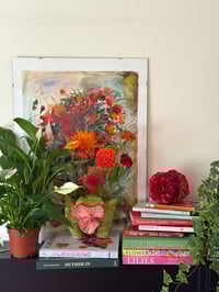 Image 5 of cherry red dahlia claw