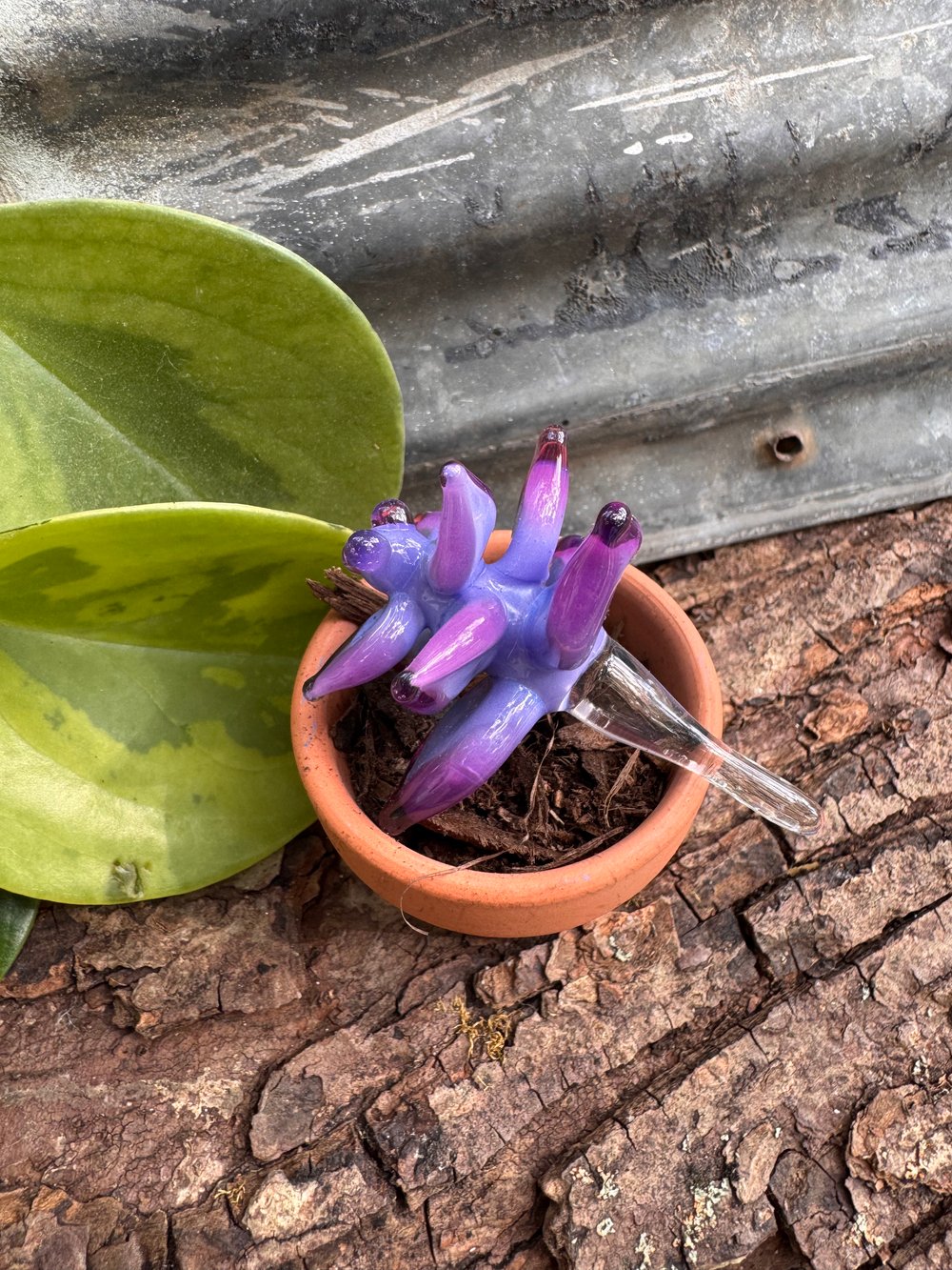 Purple Succulent Sulpture