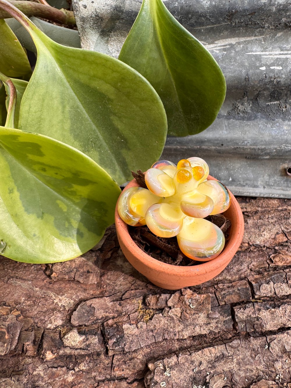 Yellow Succulent Sculpture