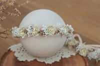 Newborn/Sitter Halo 41