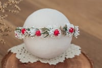 Newborn/Sitter Halo 44