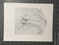 "The Watcher's Bough.." 2024 