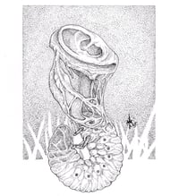 Print: "I Hear It Growing.." 2025