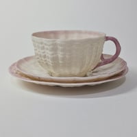 Image 5 of Scarce Antique Ulster Pottery Company Coalisland Parian Shell Trio c.1889