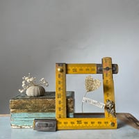 Image 1 of Le cœur et la rose 