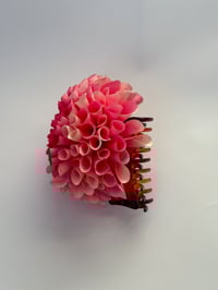 Image 2 of raspberry dahlia claw