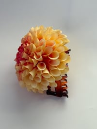 Image 2 of peach dahlia claw