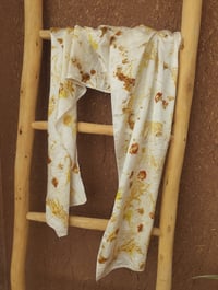 Image 5 of Coreopsis flowers & Silk