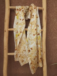 Image 2 of Coreopsis & Cosmea Silk scarf 