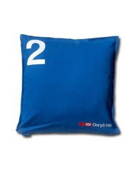 Image 3 of 2ND CLASS PILLOW