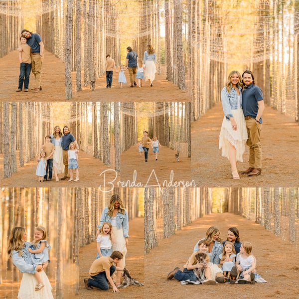 Image of Minis at The Pinery - Howey-In-The-Hills