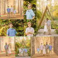 Image 3 of Minis at The Pinery - Howey-In-The-Hills