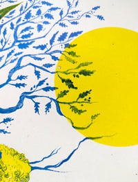 Image 5 of Golden Fleece