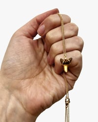 Shark Tooth Necklace S