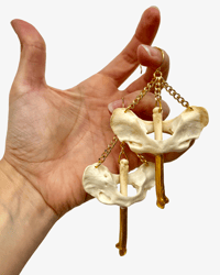 Badger Atlas earrings