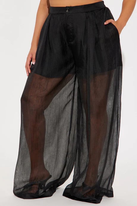Image of Organza Sheer Wide-leg Pants 