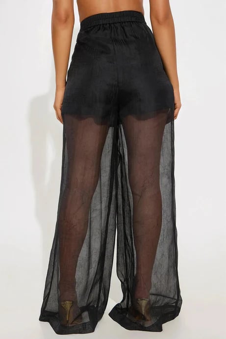 Image of Organza Sheer Wide-leg Pants 