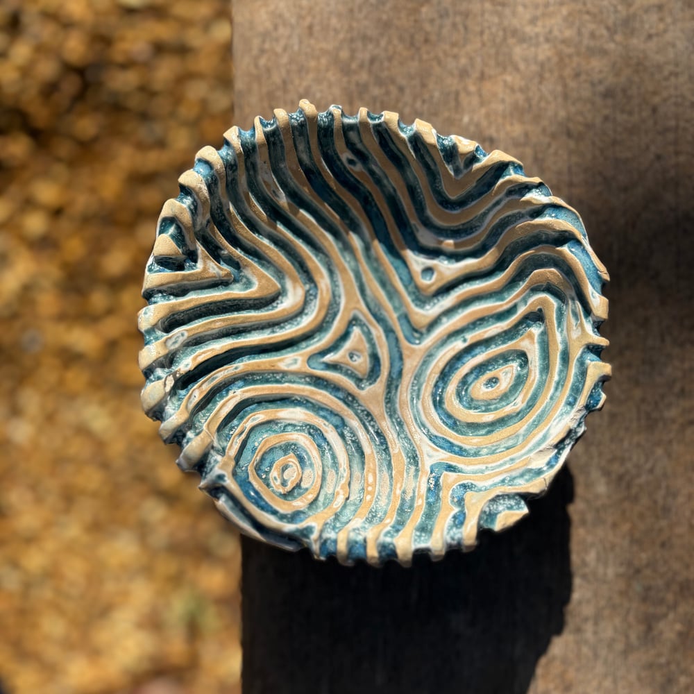 Image of Coral bowl pool