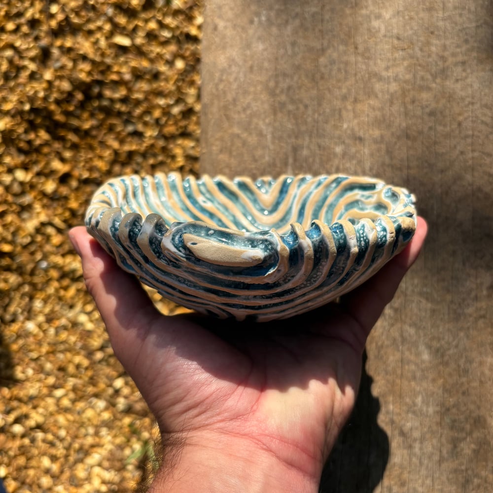 Image of Coral bowl pool