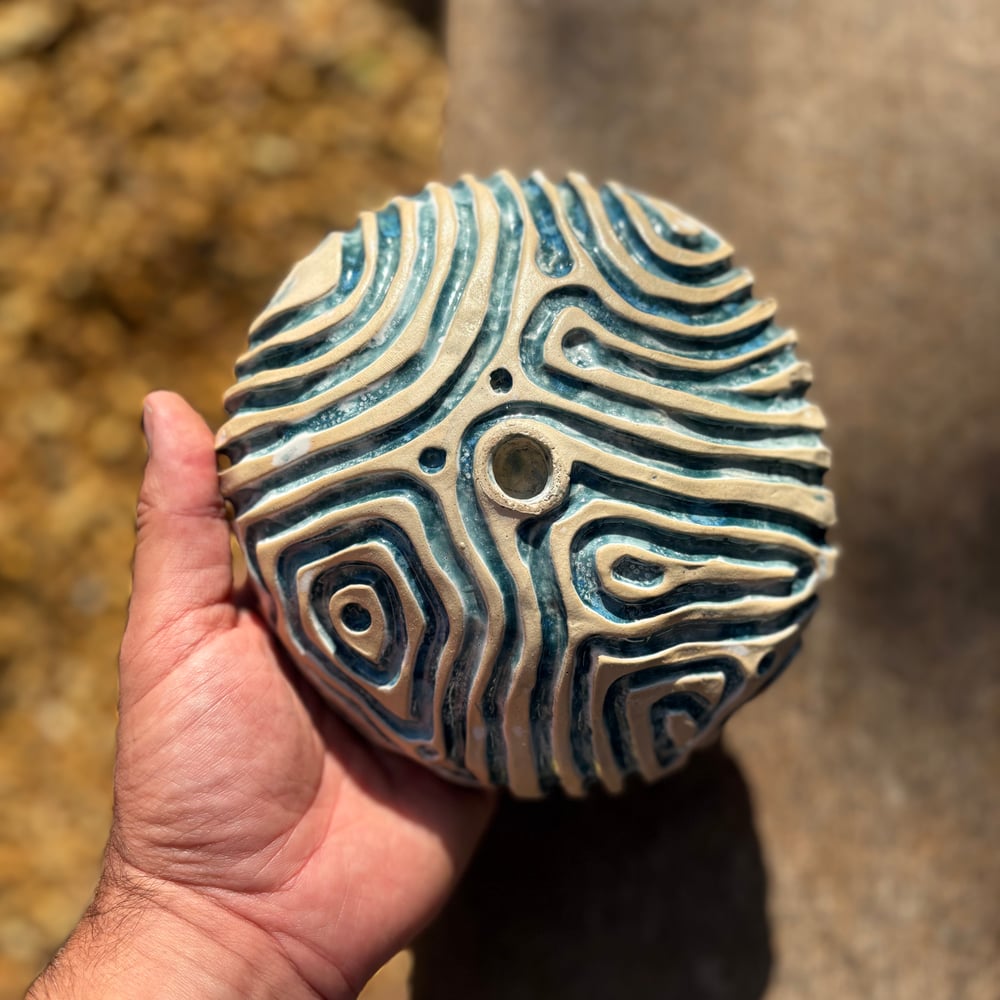 Image of Coral bowl seascape
