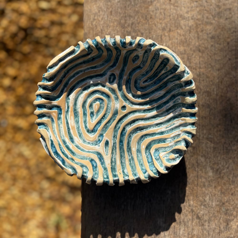 Image of Coral bowl seascape
