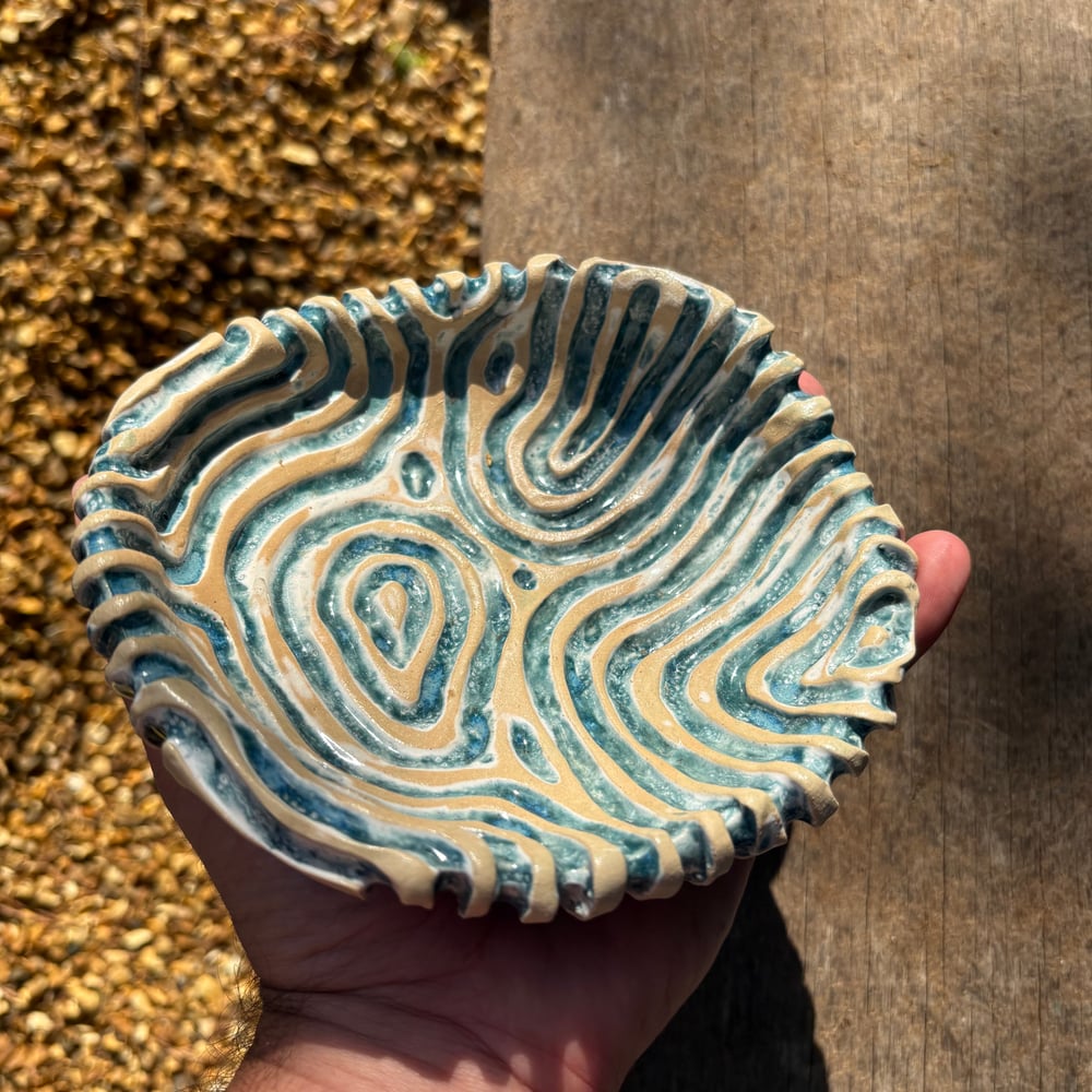 Image of Coral bowl seascape