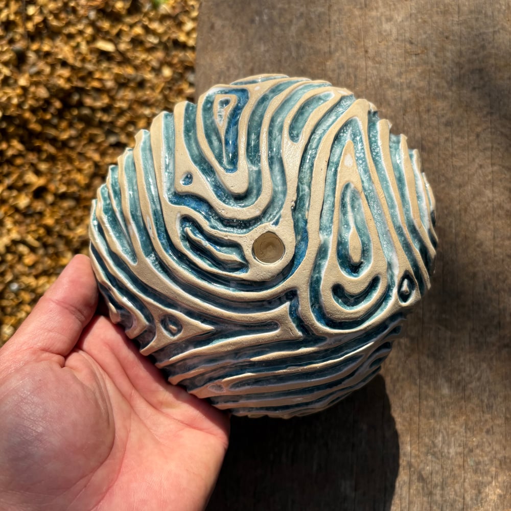 Image of Coral bowl tide