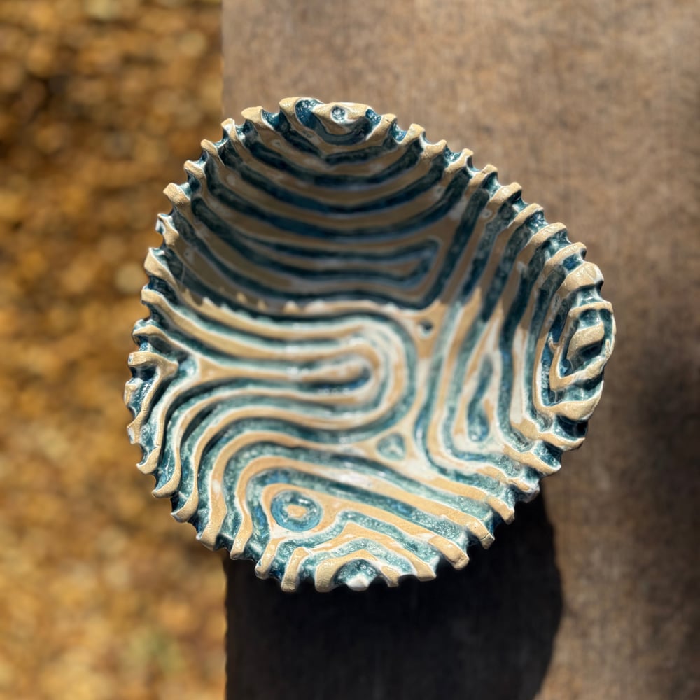 Image of Coral bowl tide