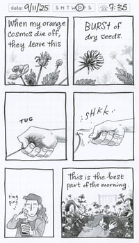 Image 1 of Daily Comic 9/11: Cosmo Seeds