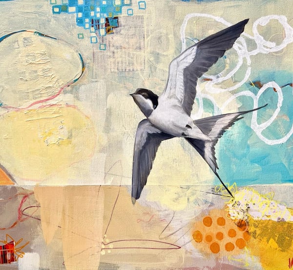 Image of Megan Jaffe | SWIFT THINGS (SPARROW)