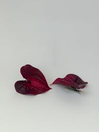 Image 2 of burgundy anthurium clip