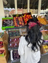 Image 4 of burgundy anthurium clip