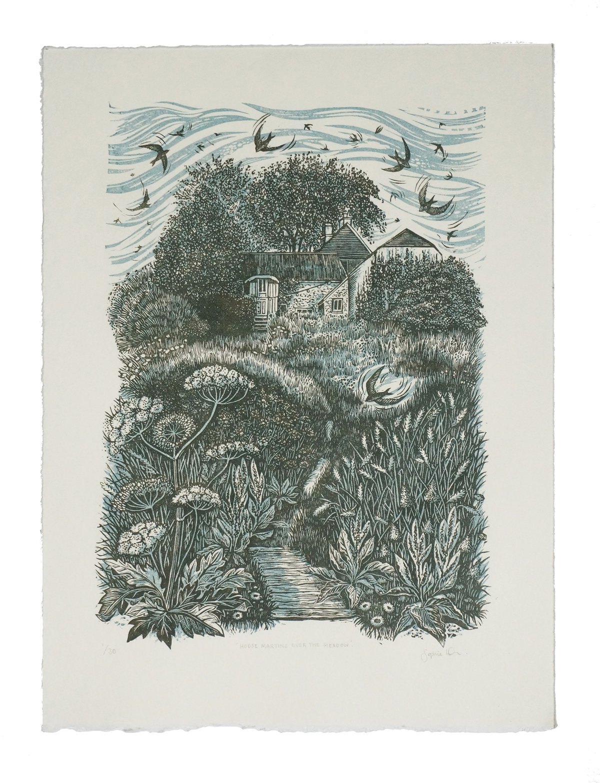 Image of 'House martins over the meadow' - Linocut