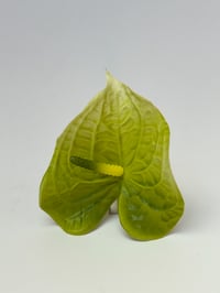 Image 1 of green anthurium clip