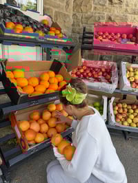 Image 4 of green anthurium clip