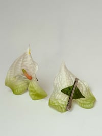 Image 2 of melon anthurium clip