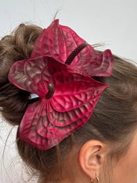 Image 3 of burgundy anthurium clip