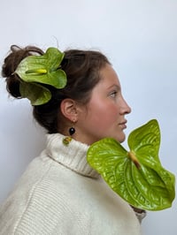 Image 3 of green anthurium clip