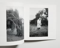 Image 5 of The Middle Distance 