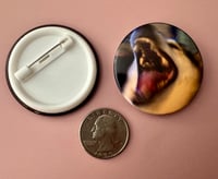 Shiba Scream Button