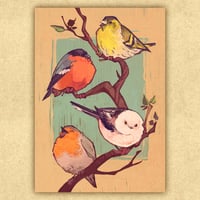 Plump Birds Print