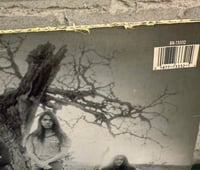 Image 3 of Death Angel- Through The Park