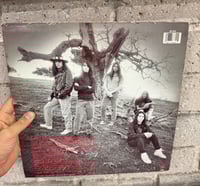 Image 2 of Death Angel- Through The Park