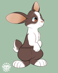Image 2 of Dutch Rabbit Sticker