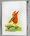 Mousehole to the Centre of the Earth: Ptiny the Pterodactyl