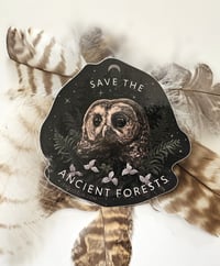 Image 1 of “Save The Ancient Forests” Vinyl Sticker