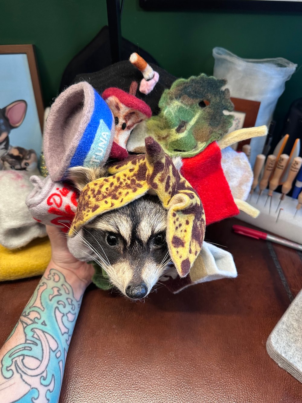 Image of Trash Panda’s Delight